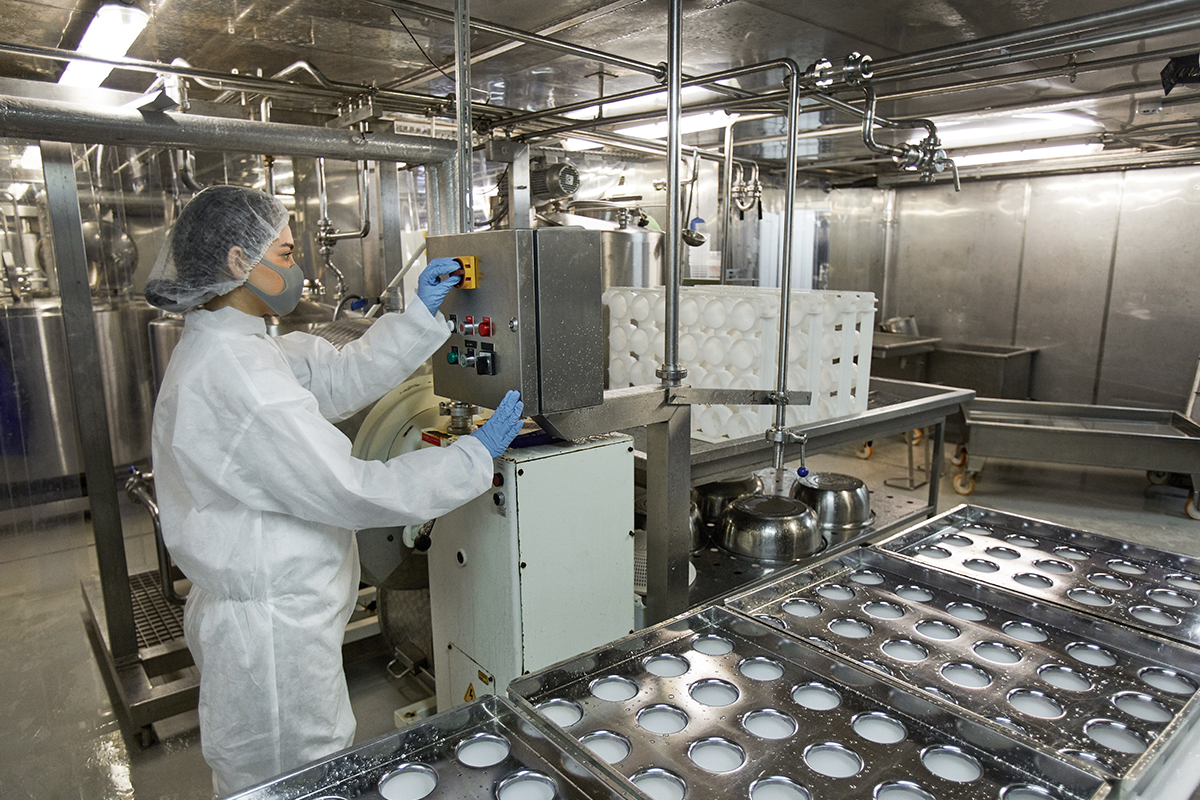 Different Types and Methods Involved in Food Processing