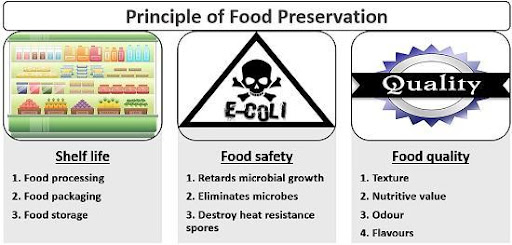 Food Preservation Techniques