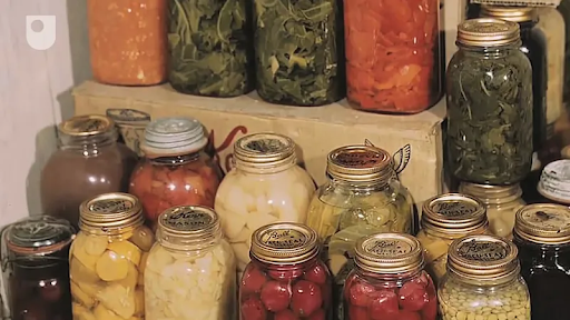 Common Food Preservation Techniques