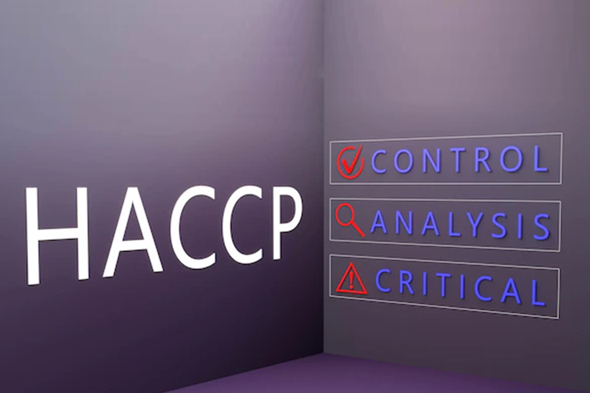 Implementing the HACCP plan for a Hazard-Free Food Production System