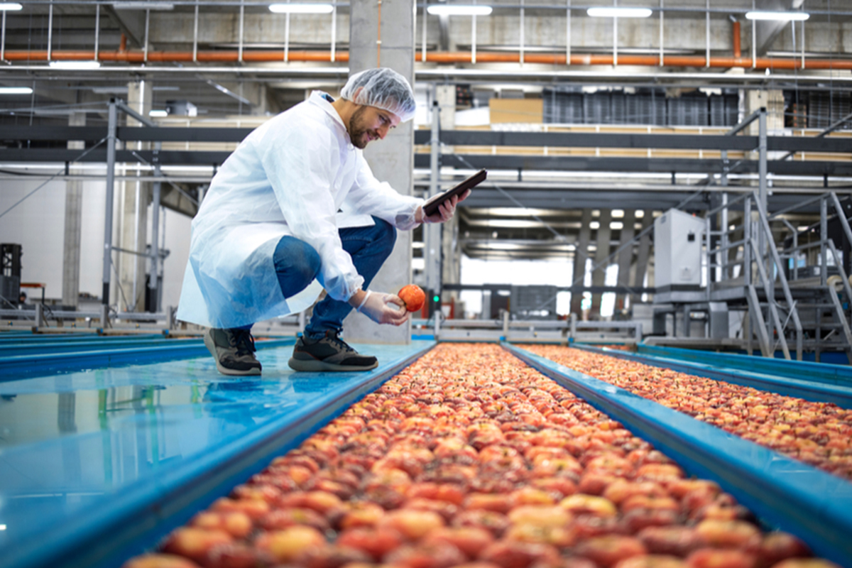 Ensuring Excellence: The Crucial Role of Quality Control in the Food Industry