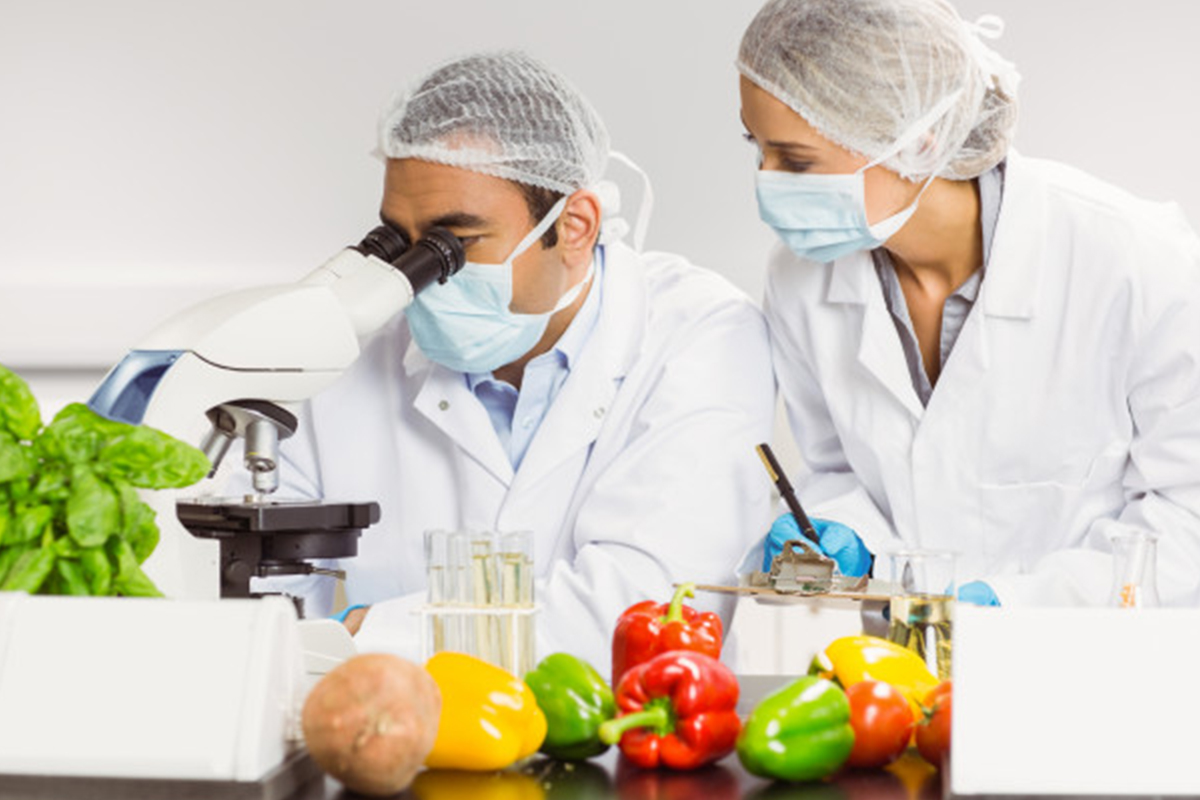 Role of Food Safety Management Systems and ISO: Ensuring What We Eat is Safe