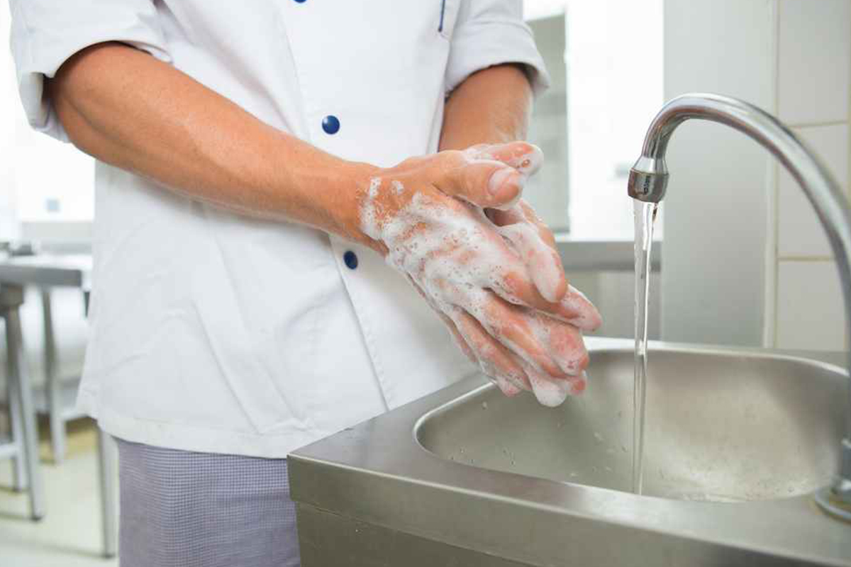 What Is Personal Hygiene For Food Handlers At Jeremy Fenner Blog