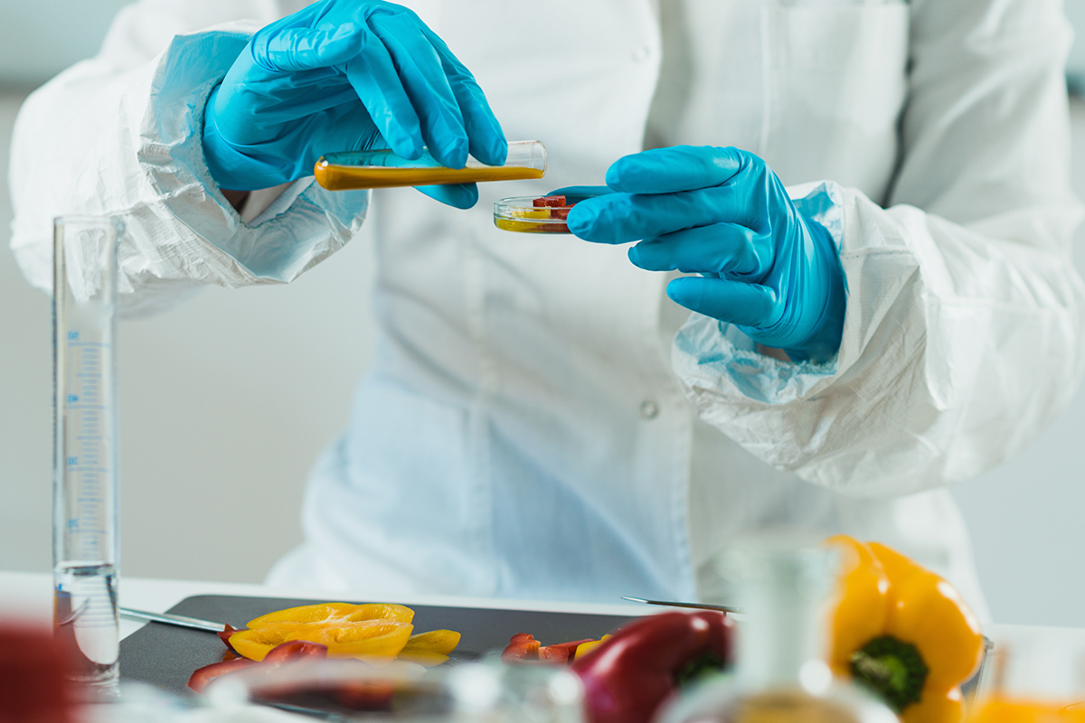 E-Learning for Food Safety: Unveiling Key Business Benefits