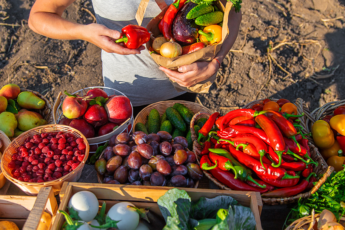 From Farm to Fork: The Crucial Role of Hygiene in Food Safety