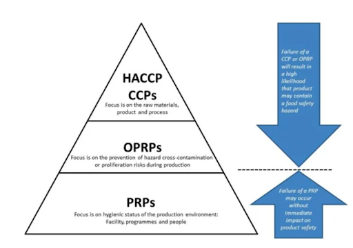 What is Food Safety?