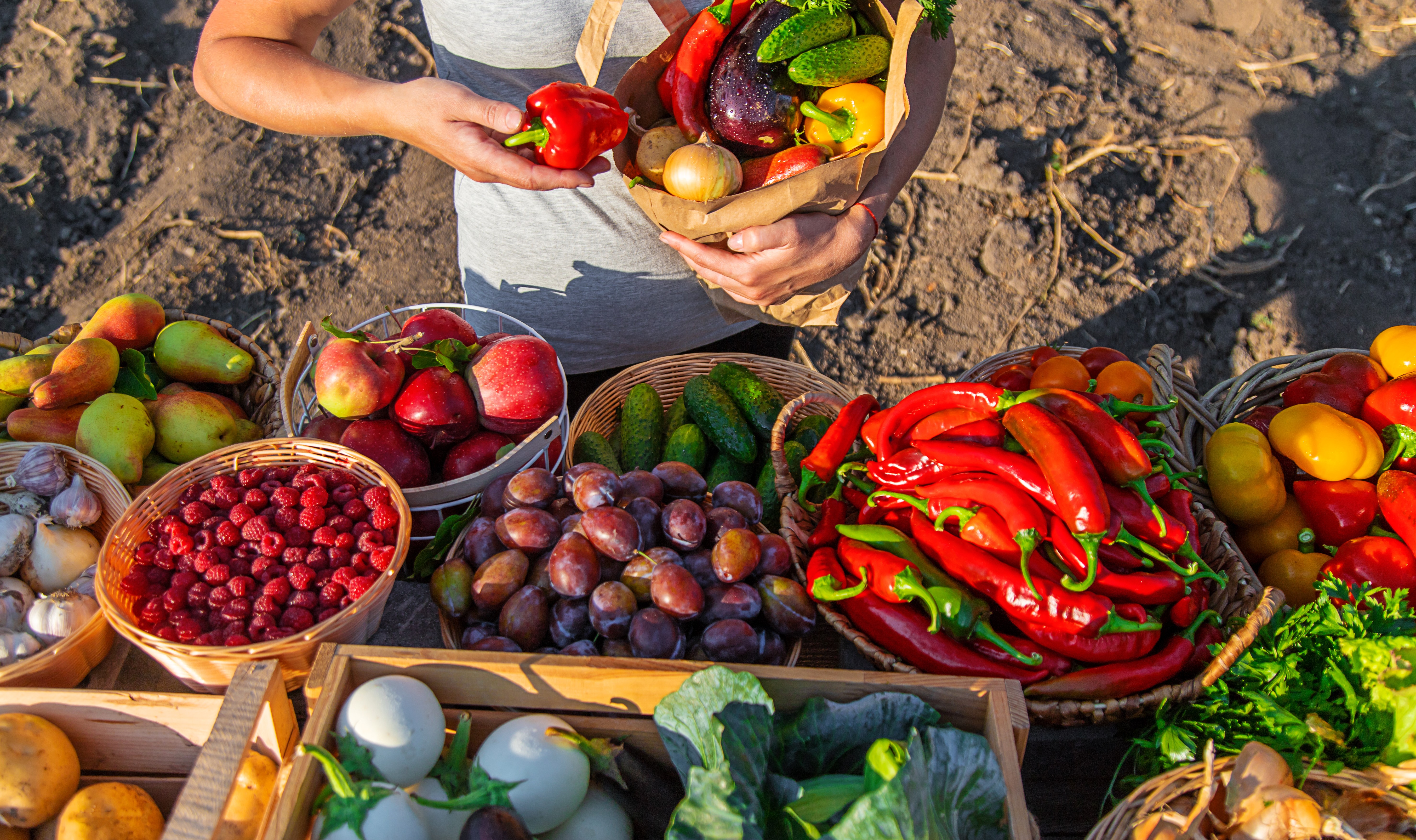 From Farm to Fork: Ensuring Safe Food Storage and Transportation