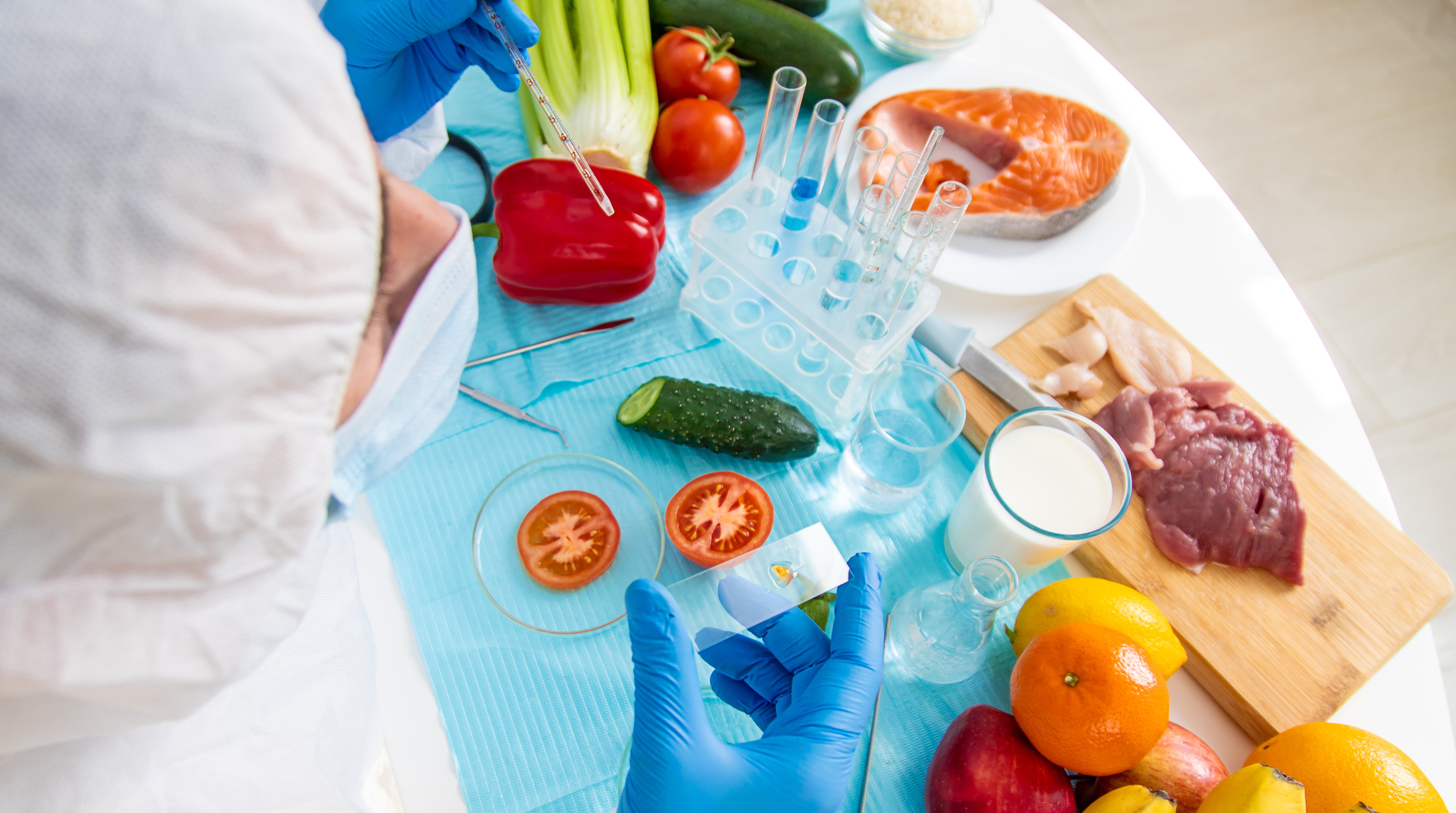 Understanding Food Sustainability: Importance and Impact