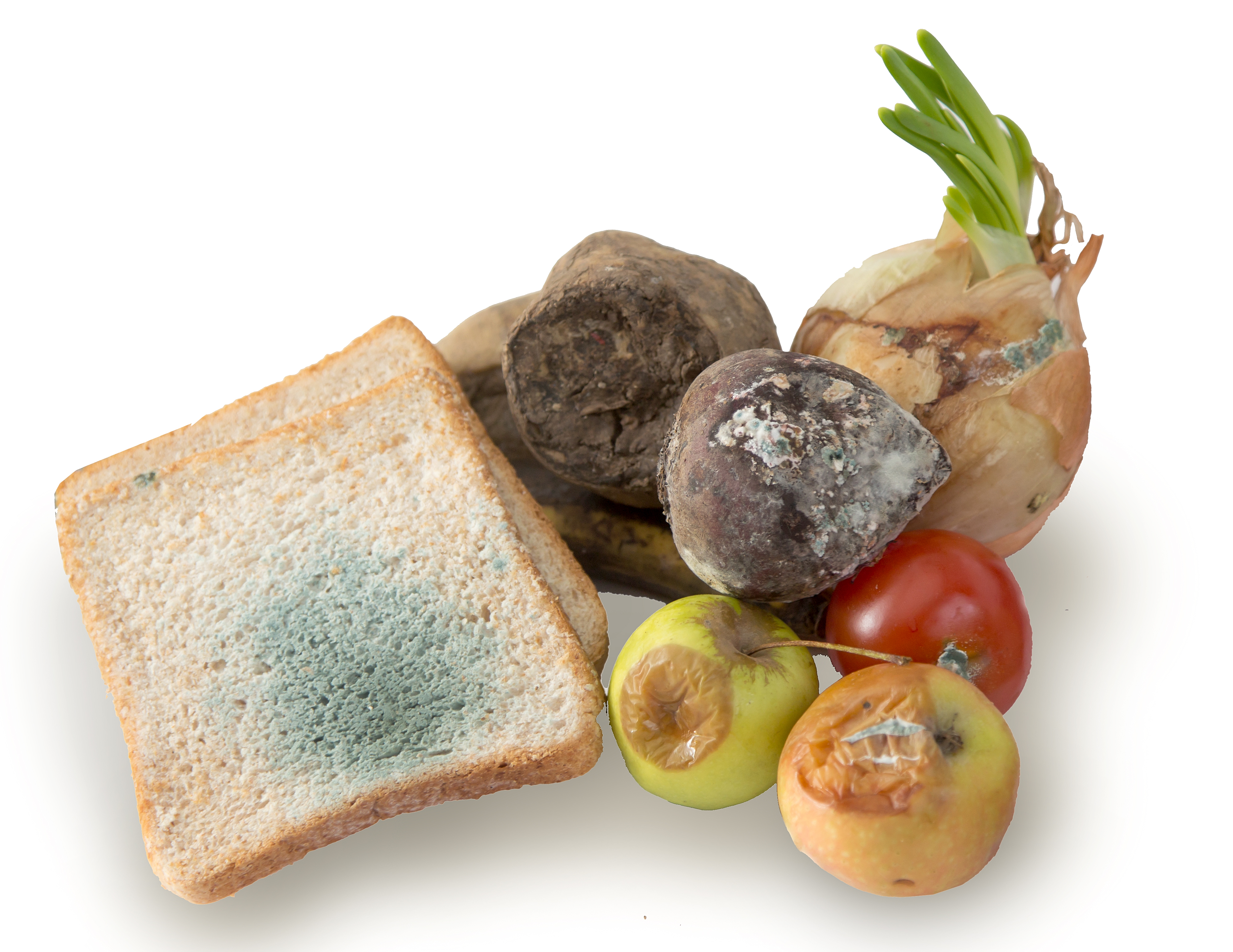 Understanding Food Spoilage: Types, Causes and How to Prevent It