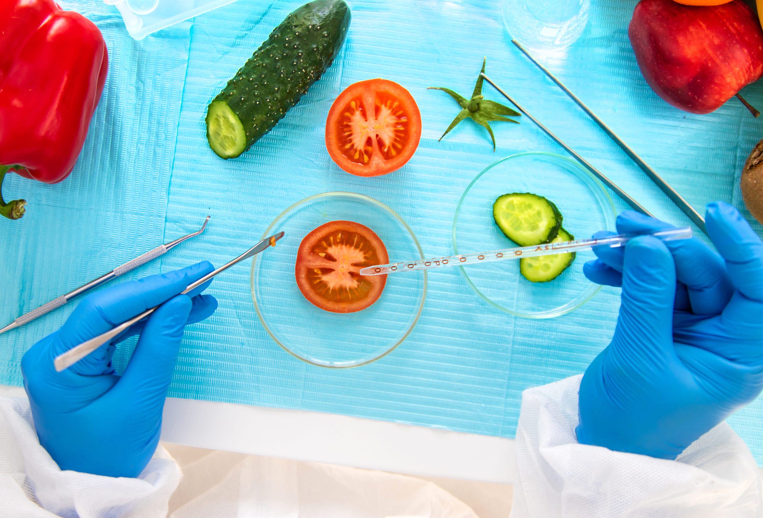 Natural and Artificial Preservatives in Food: A Complete Guide