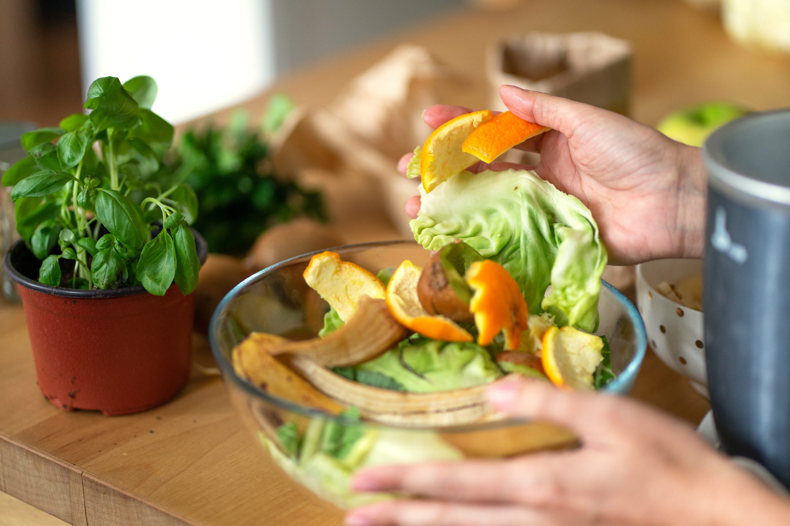 Food Microbiology: Types, Importance and Applications in Food Safety