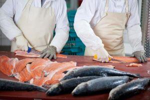 Fish and Sea Food Processing