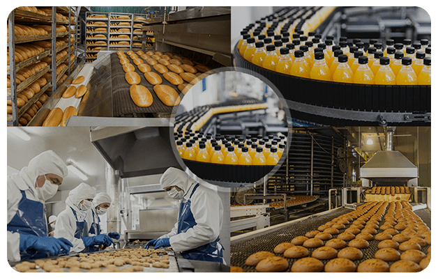 Undergraduate Degree Program in Food Processing
