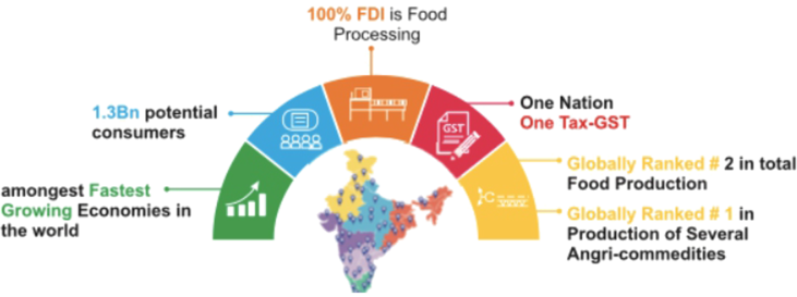 The Indian Food Processing Sector at a Glance