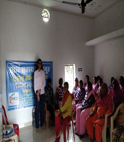 Skilling for Employability & Livelihood Enhancement Project Themes