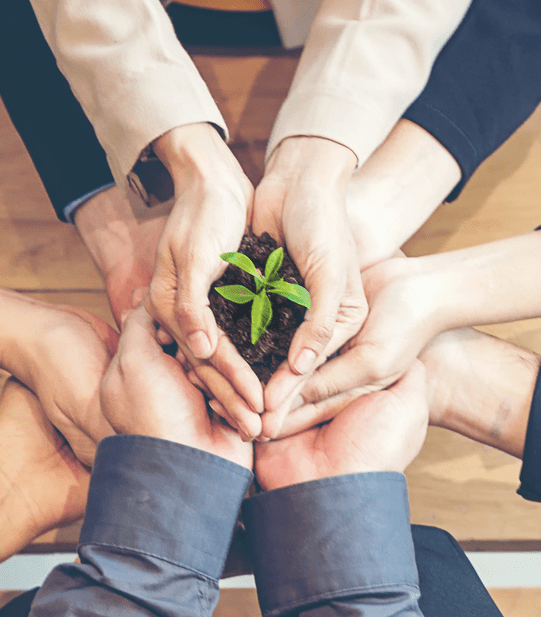 socialimpact two