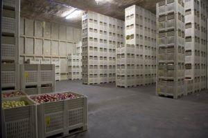 Food Safety Supervisor - Basic Manufacturing Level I