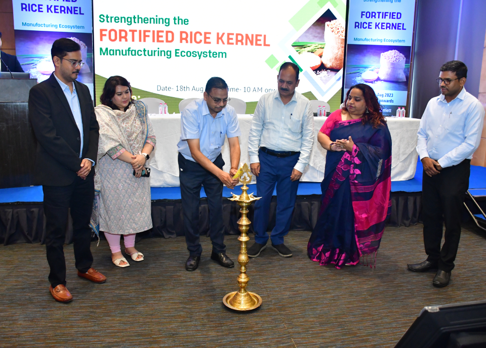 Strengthening the Fortified Rice Kernel Manufacturing Ecosystem